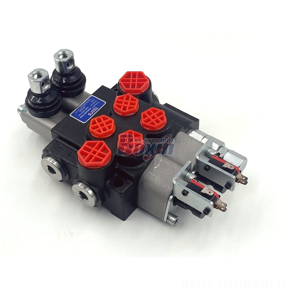 2 Spool Monoblock Directional Valve - P40: Factory Supply & Tailored Solutions detail image